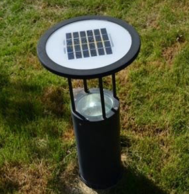 向阳街道草坪灯